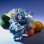 SASVA Le Notti di Goa - Sapna 100 ml