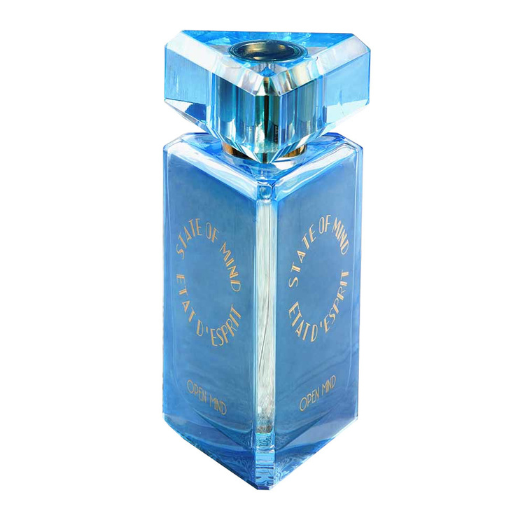 STATE OF MIND OPEN MIND